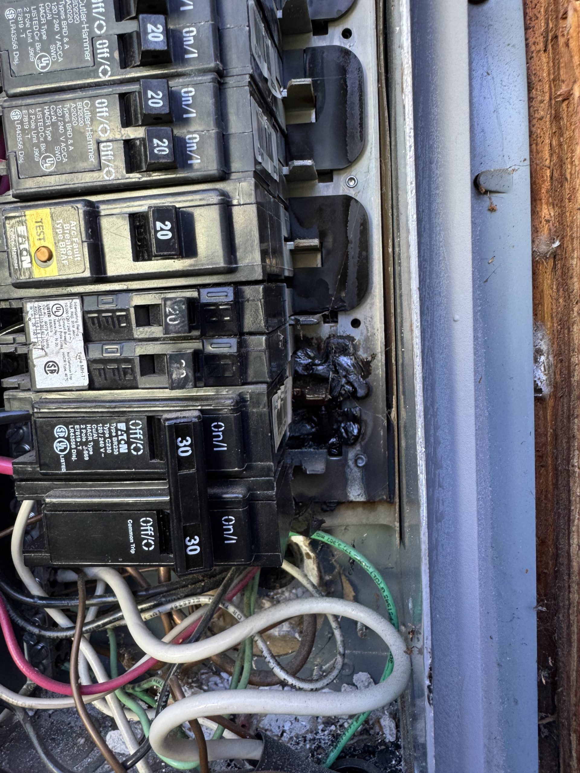 487C3F5A-AEA1-4E44-8B23-A303846FA390-IMG_3070