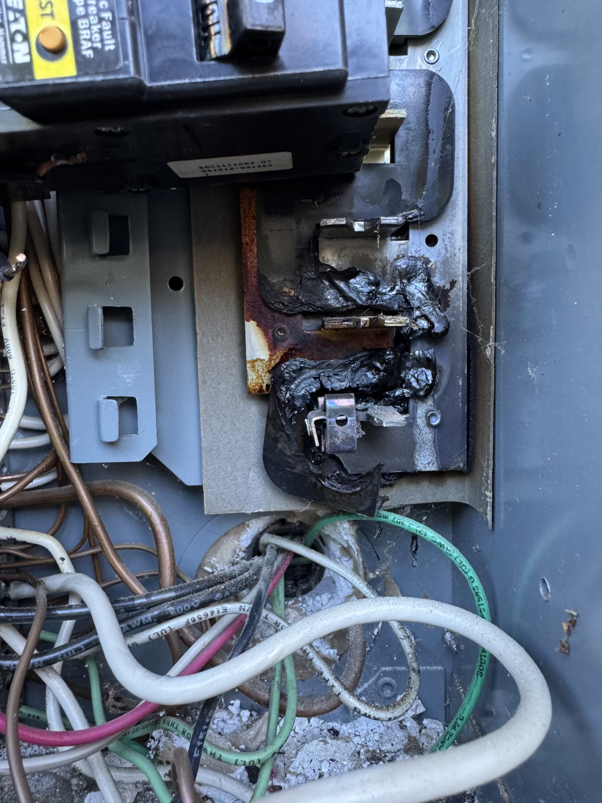 D2FE3AEC-5A5C-45CE-88A5-572B63151309-IMG_3072