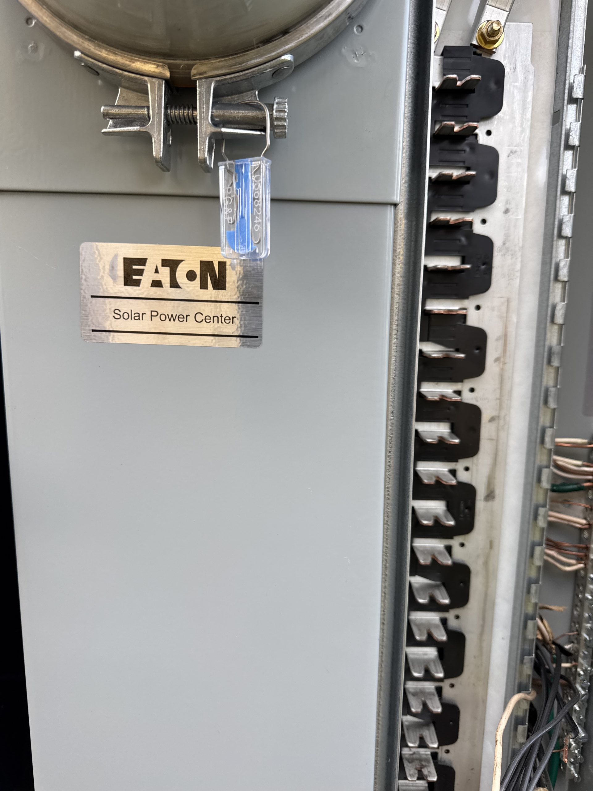 E2011C5B-DEAB-4FCF-B3AA-94A3CB2015CF-IMG_0669